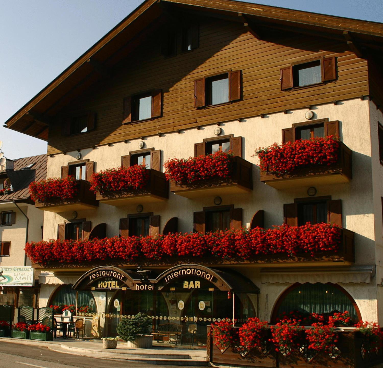 International Tarvisio